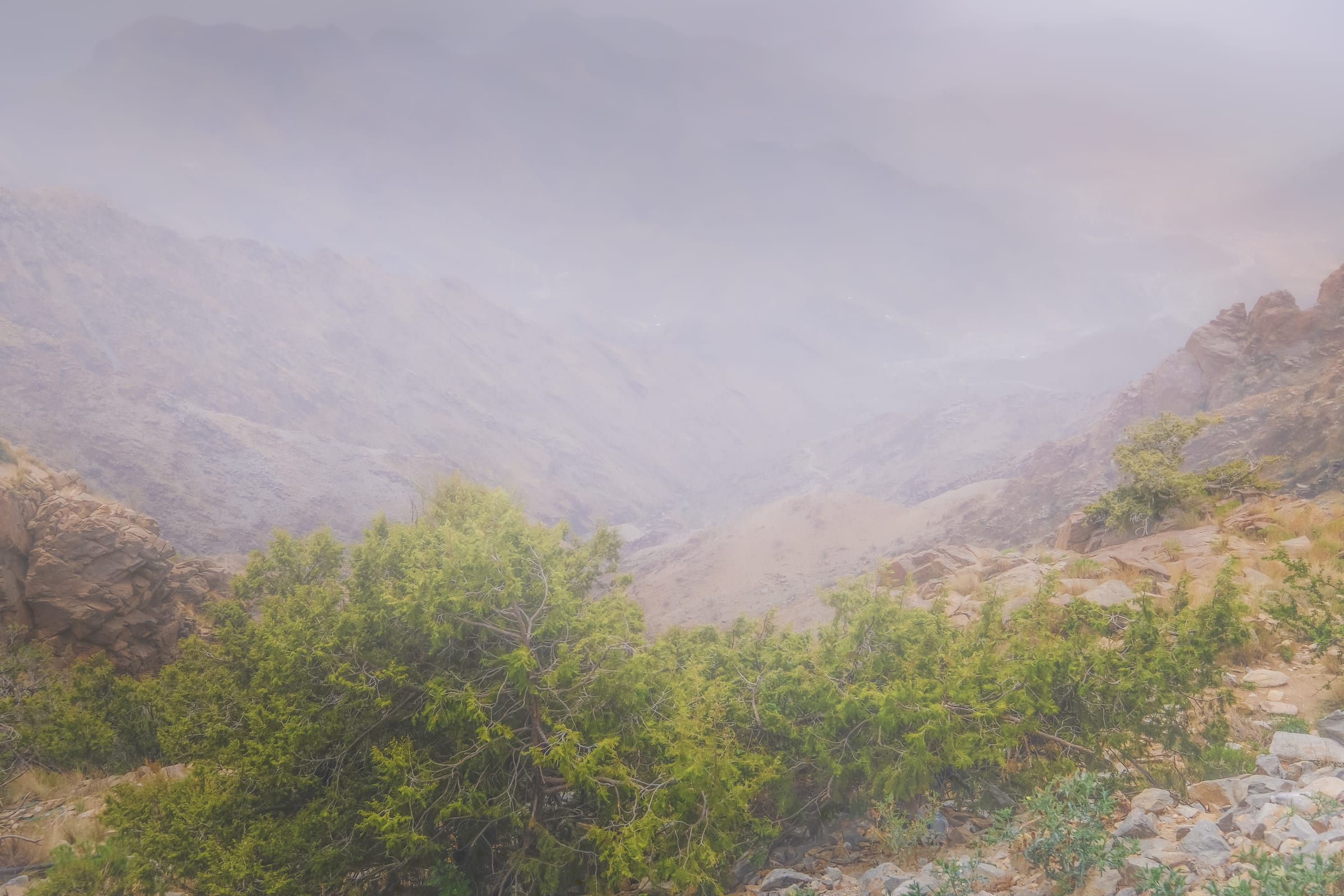 aMattal Alhadba in fog