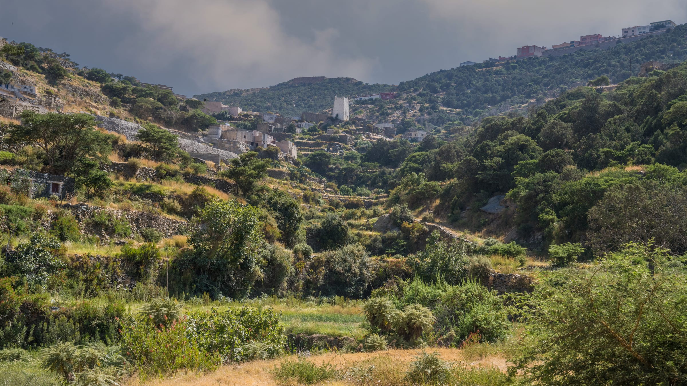 farms in Alnamas