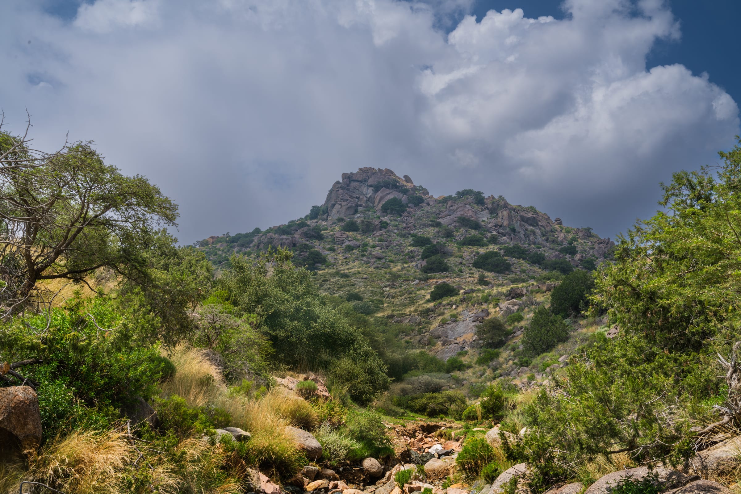 jabal jamil