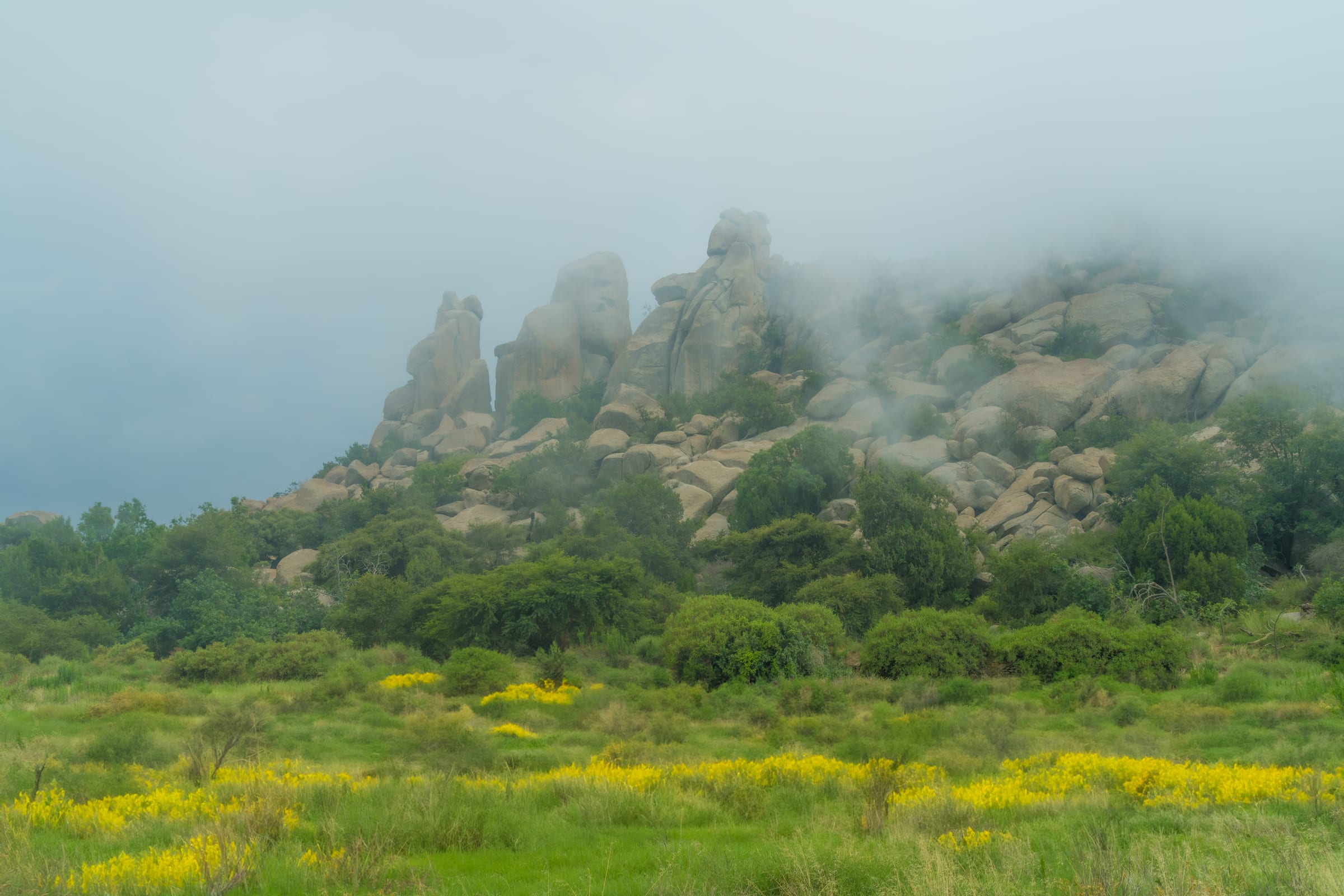 rocks in fog