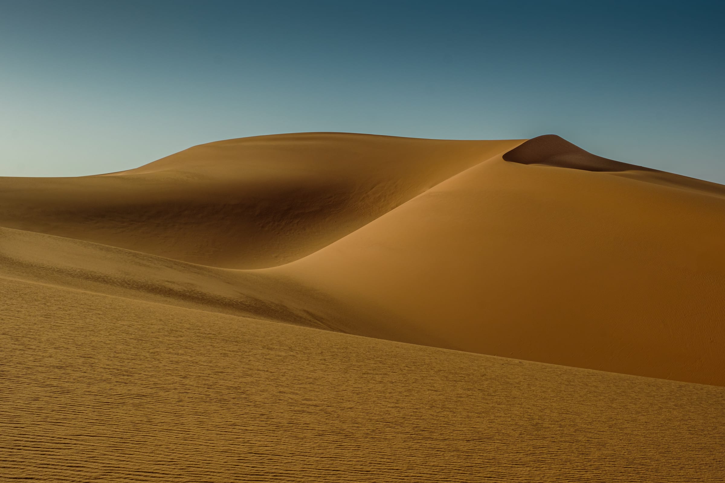 Featured photographs