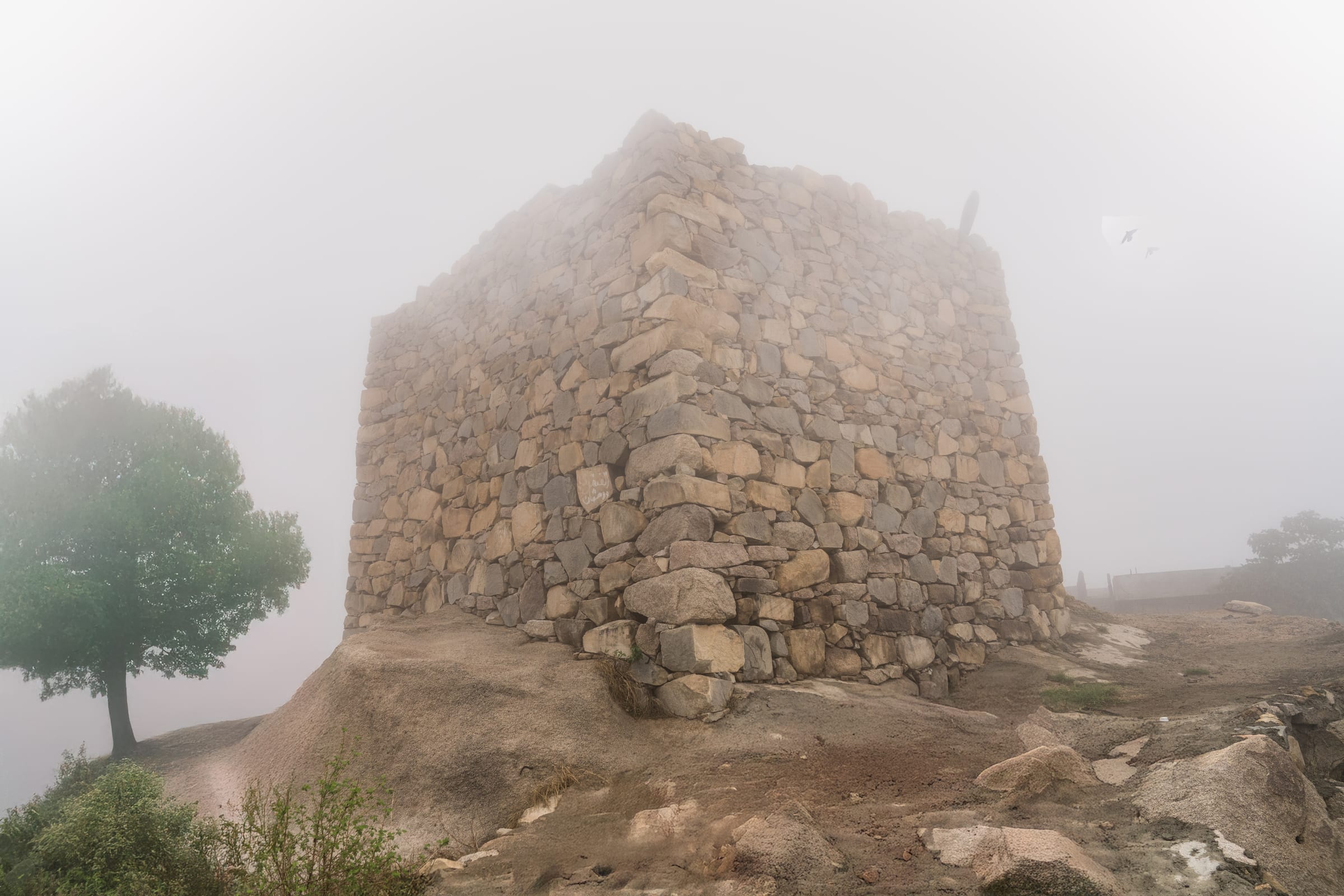 Shada Superiorc