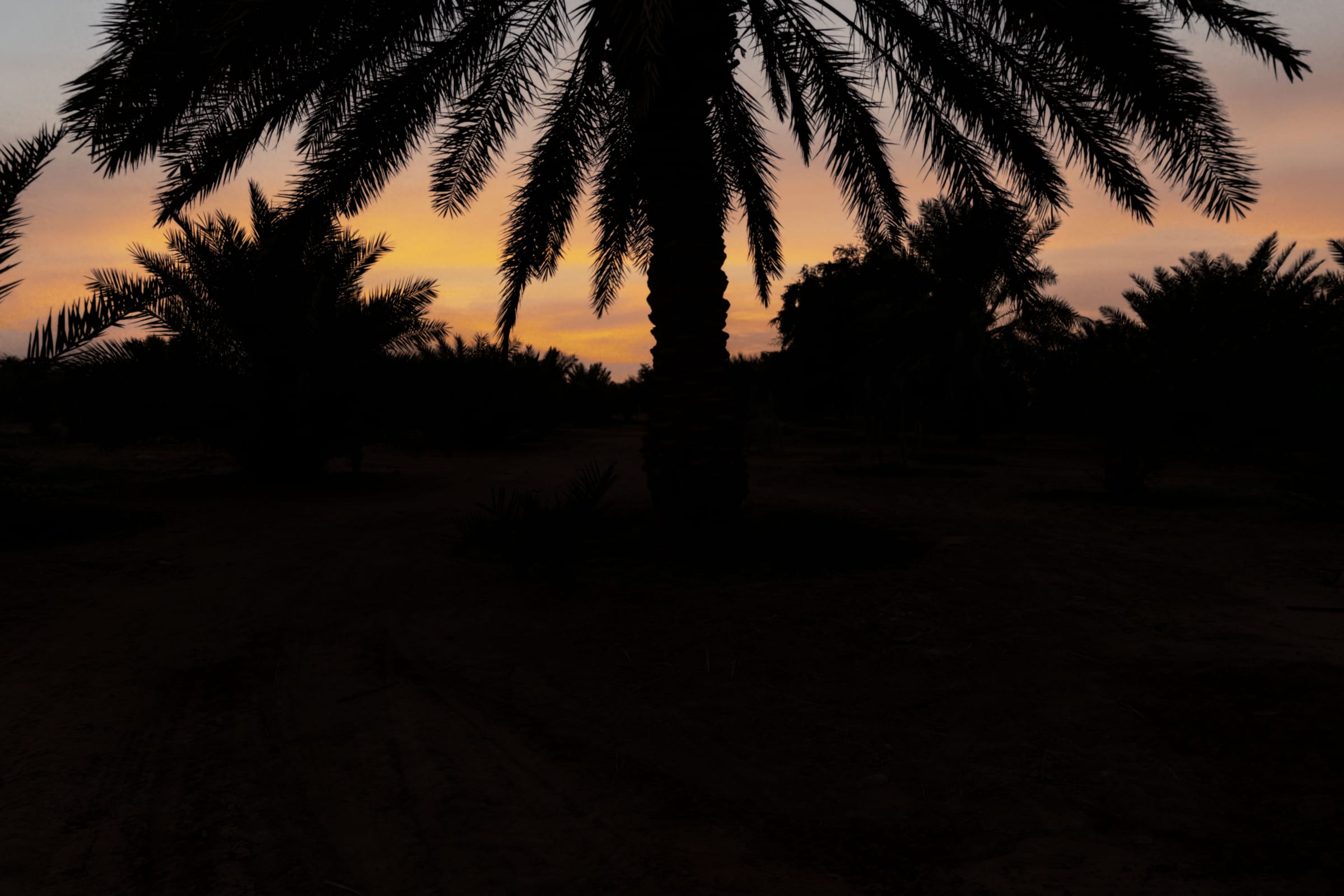 sunset 21