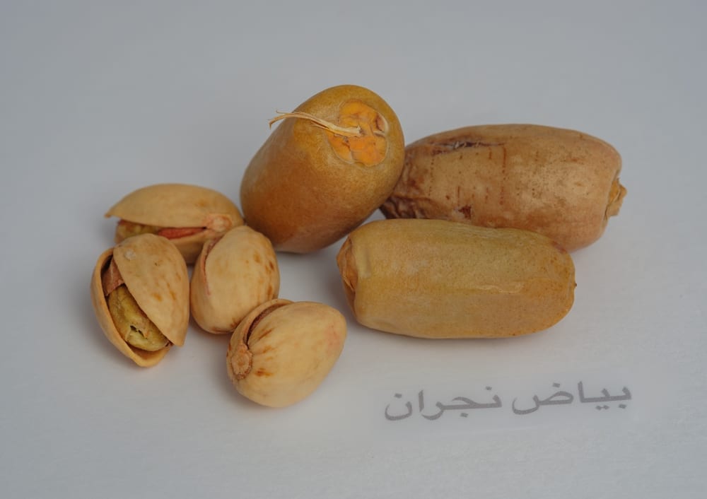 Bayadh Najran