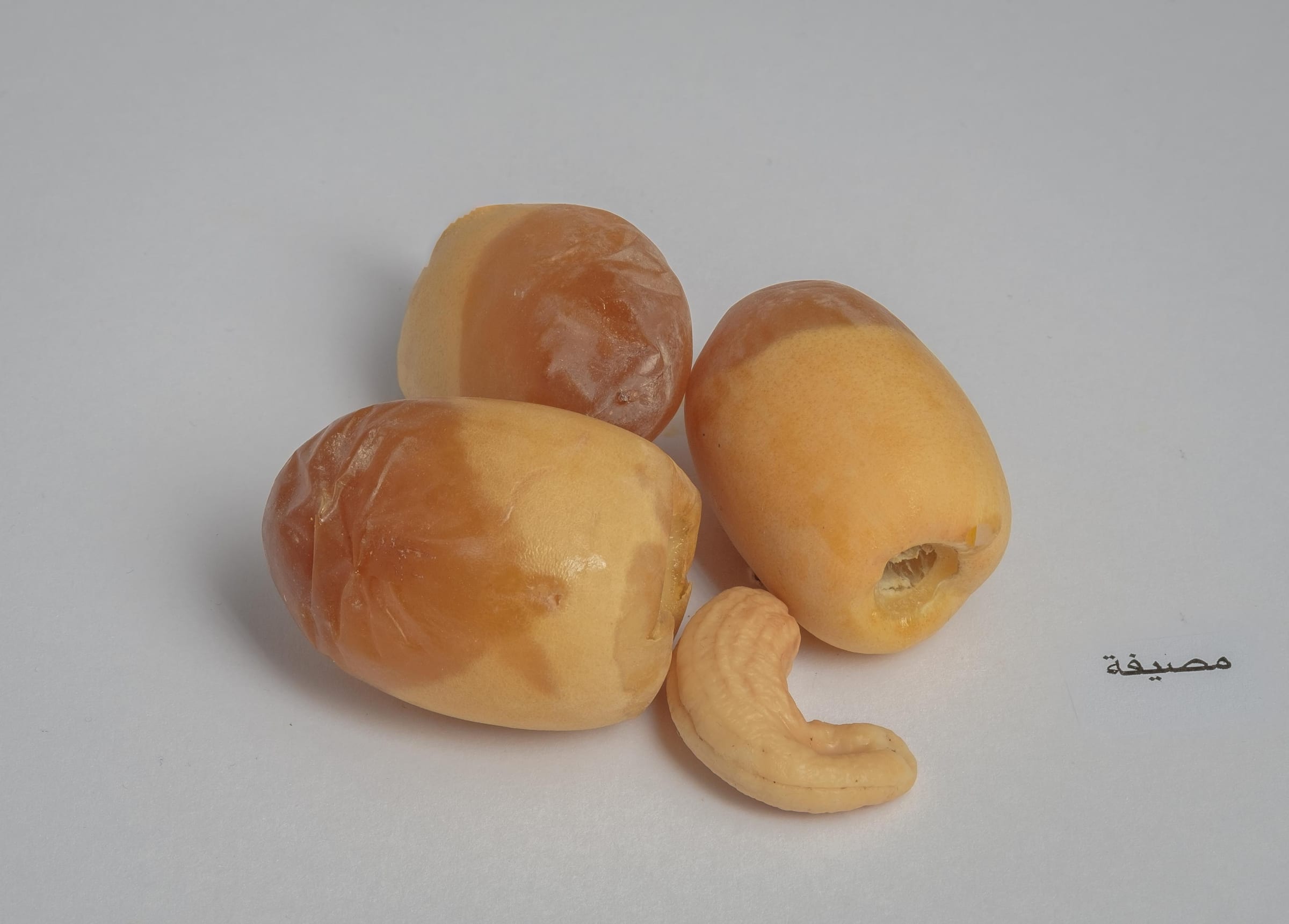 Masifa